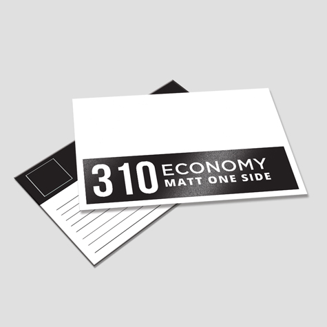Economy 310 Matt 1/S Economy 310 Matt 1/S