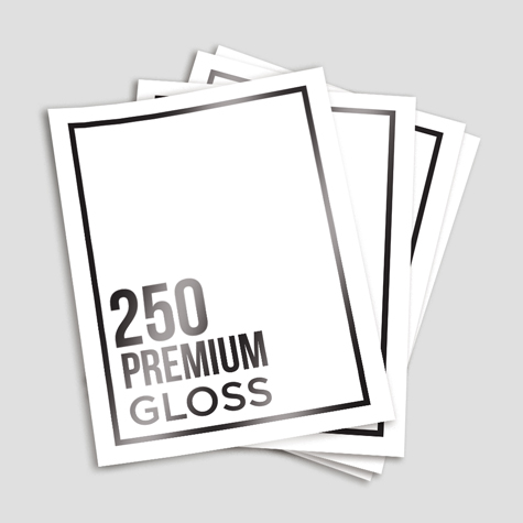 Premium 250 Gloss Premium 250 Gloss
